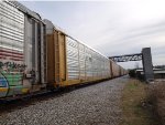 TTGX 711308
